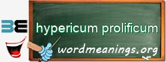 WordMeaning blackboard for hypericum prolificum